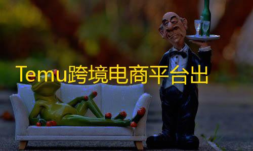 暗区突围辅助瞄准Temu跨境电商平台出海记：从0到70个国家的胜利之路与挑战
