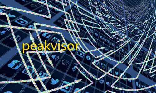 ray暗区突围直装peakvisor